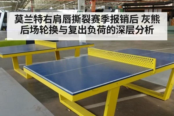 莫兰特右肩唇撕裂赛季报销后 灰熊后场轮换与复出负荷的深层分析
